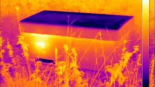 IR Thermal Images of Bee Hiveswmv [upl. by Yelac130]