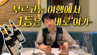 올리비에 르플레이브Olivier Leflaive 호텔 레스토랑🥂 프랑스 부르고뉴 여행에서 꼭 가봐야할 곳 [upl. by Araminta]