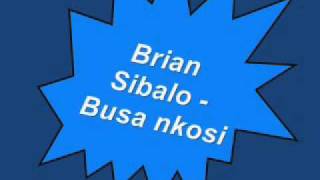 Zimbabwe Gospel Brian Sibalo  Busa nkosi [upl. by Nesta]