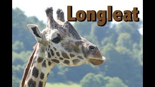 Longleat safari and adventure park [upl. by Hollister]