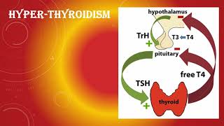 HYPERTHYROIDISM [upl. by Neetsirk]