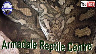 Armadale Reptile Centre  Western Australia [upl. by Beverlee]