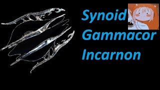 Synoid Gammacor Incarnon PostJade Shadows [upl. by Rogerio]