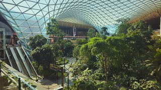 the orchard at doha airport qatar 🇶🇦 [upl. by Tamar350]