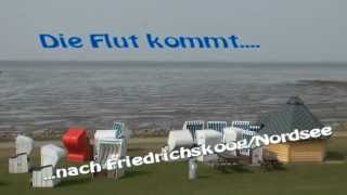 Die Flut kommt  Gezeiten der Nordsee [upl. by Nodnal]