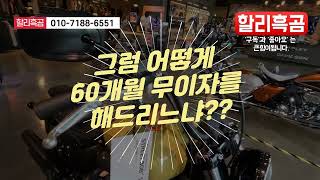 2023 할리데이비슨 스트리트밥 670만원 상당 파격 프로모션 60개월무이자 할리흑곰 [upl. by Pedaias]