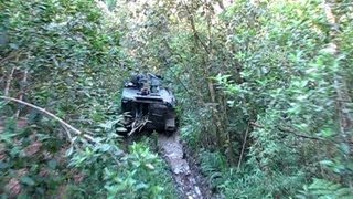 M113 APC na floresta  Exército Brasileiro [upl. by Marti]