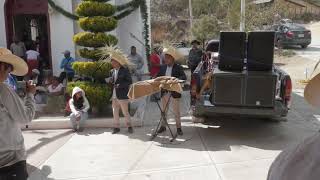 LOS ARADORES DE OAXACA EN VIVO EN  San Pedro El Alto Magdalena Peñasco [upl. by Dorreg]