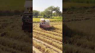 Vardhman Mini Harvester 4 cylinder Powerful Engine Fast Cutting [upl. by Enirahtak506]