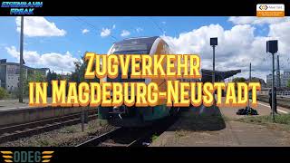 Zugverkehr in MagdeburgNeustadt foryou trainspotting [upl. by Alcott]