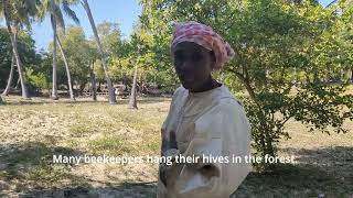 Kuchagua mahali pa nyuki  Choosing a location for your apiary Beekeeping in Lamu Kenyan Coast [upl. by Ennaid784]