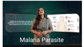 Malaria Parasite [upl. by Colette]