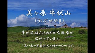 美ヶ原 牛伏山（うしぶせやま）牛が放牧されのどかな風景が広がっています ４Ｋ [upl. by Llerehs513]