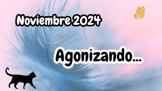 Noviembre agonizando [upl. by Ledniahs]