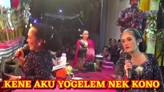 DALANGE DIGARAP ENTEK ENTEKAN NYANG SINDEN ELISHA [upl. by Nordine]