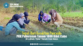 FUNGSIKAN LAHAN TIDUR PKK PABERASAN TANAM 1000 BIBIT CABE TEPAT HARI KESAKTIAN PANCASILA [upl. by Lednor]