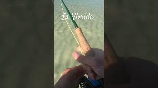 La Florida invites you flyfishing redfish 30a pesopluma carnales vamos [upl. by Berny712]