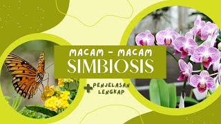 Macam Macam Simbiosis Mutualisme Komensalisme Parasitisme Pengertian Dan Contoh Simbiosis Mapel IPA [upl. by Etterual]