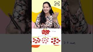 1 minute learning Normocytic Anemia  Microctic Anemia  Macrocytic Anemia  MedLive [upl. by Noseaj482]