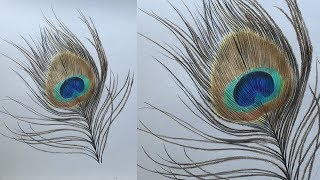 How to Draw a Peacock Feather in Color Pencils  Realistic Peacock Feather Drawing [upl. by Swee]