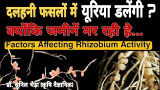 Mechanism of Nitrogen Fixation by Rhizobium and Factors Affecting N Fixation दलहनी फसलों की नत्रजन [upl. by Dori379]