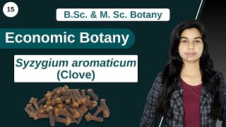 Economic Botany  Syzygium aromaticum  Clove  B Sc amp M Sc [upl. by Nihi794]