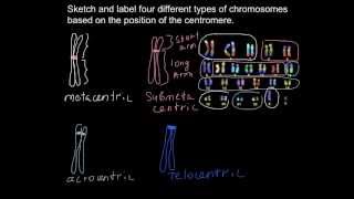 Queue in Data Structure  Learn Coding [upl. by Khosrow]