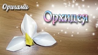 Нежная белая Орхидея из Оригами Origami Flower Оrchid [upl. by Nyrrek]