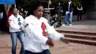 NPHC Umoja Fest Sororities PART 1 [upl. by Heiney]