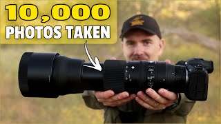 Sigma 150600mm Contemporary Review for Bird and Wildlife Photography [upl. by Macintosh]