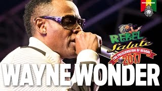 Wayne Wonder Live at Rebel Salute 2017 [upl. by Siulegroj]