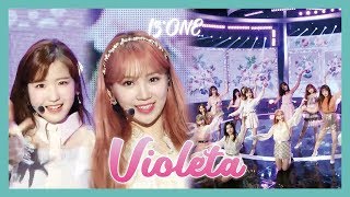 HOT IZONE  Violeta  아이즈원  비올레타 Show Music core 20190413 [upl. by Japeth]