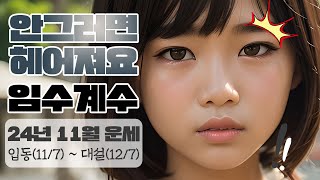 임수 계수 일간 2024년 11월 운세  갑진년 을해월  놀란 사주 [upl. by Aynahs]