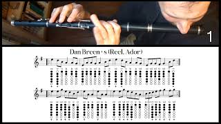 Tuto Irish Flute  Dan Breens Reel Ador [upl. by Enna]