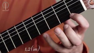 Classical guitar lessons Aspects of playing passages part I Dmitry Nilov [upl. by Isacco209]