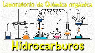 Práctica de laboratorioHidrocarburos [upl. by Juna]