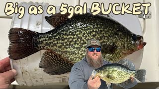 CRAPPIE 5 Gallon Bucket CHALLENGE Catch Clean Cook [upl. by Gretchen]