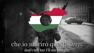 quotAvanti ragazzi di Budaquot  Italian Song of The Hungarian Revolution [upl. by Rehpotsirk]