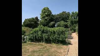 National Trust Hinton Ampner Walled Garden 2023 [upl. by Parcel]