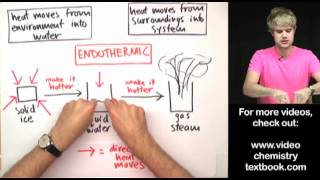 Phase Changes Exothermic or Endothermic [upl. by Lemcke]