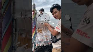 BELI IKAN DI PINGGIR PANTAI shortsvideo [upl. by Frances928]