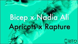 Bicep x Nadia Ali  Apricots x Rapture DJT Mash Up Mix [upl. by Siol]