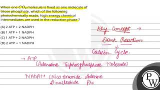 When one CO2 molecule is fixed as one molecule of triose phosphate which of the following photo [upl. by Koball671]