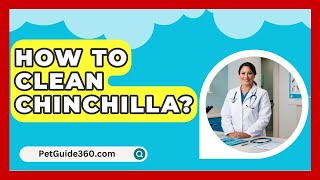 How To Clean Chinchilla  PetGuide360com [upl. by Sklar]