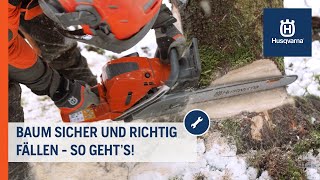 Baumfällung Sicher und richtig fällen HowTo  Husqvarna Forst [upl. by Aicyle]