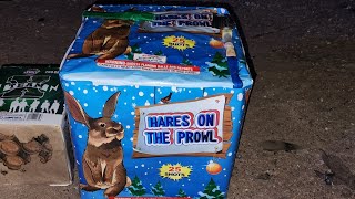 Hares on the Prowl 25 shots big bore firework [upl. by Apollo]