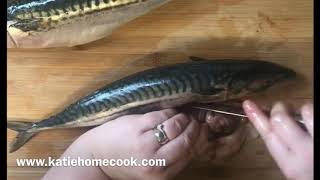 How to gut and fillet a mackerel Easy quick tutorial [upl. by Ardin]