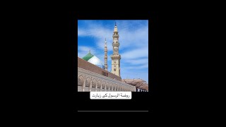 Rawda r Rasool Muhammad SAW ki ziyarat madinah madinahlife rawdah masjidenabwi [upl. by Keldon]