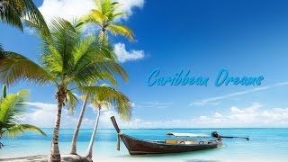 🏖 Best Tropical Caribbean and Steel Drum Music steeldrums [upl. by Ayyidas]