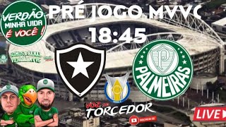 AO VIVO  BOTAFOGO X PALMEIRAS TUDO QUE VC PRECISA SABER SOBRE MAIS UMA FINAL DO VERDÃO [upl. by Gnilyarg510]